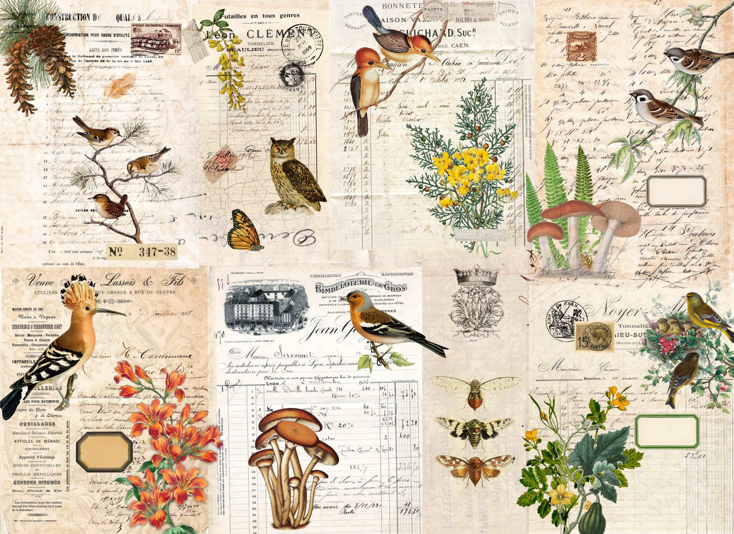 FALL BOTANICAL #161