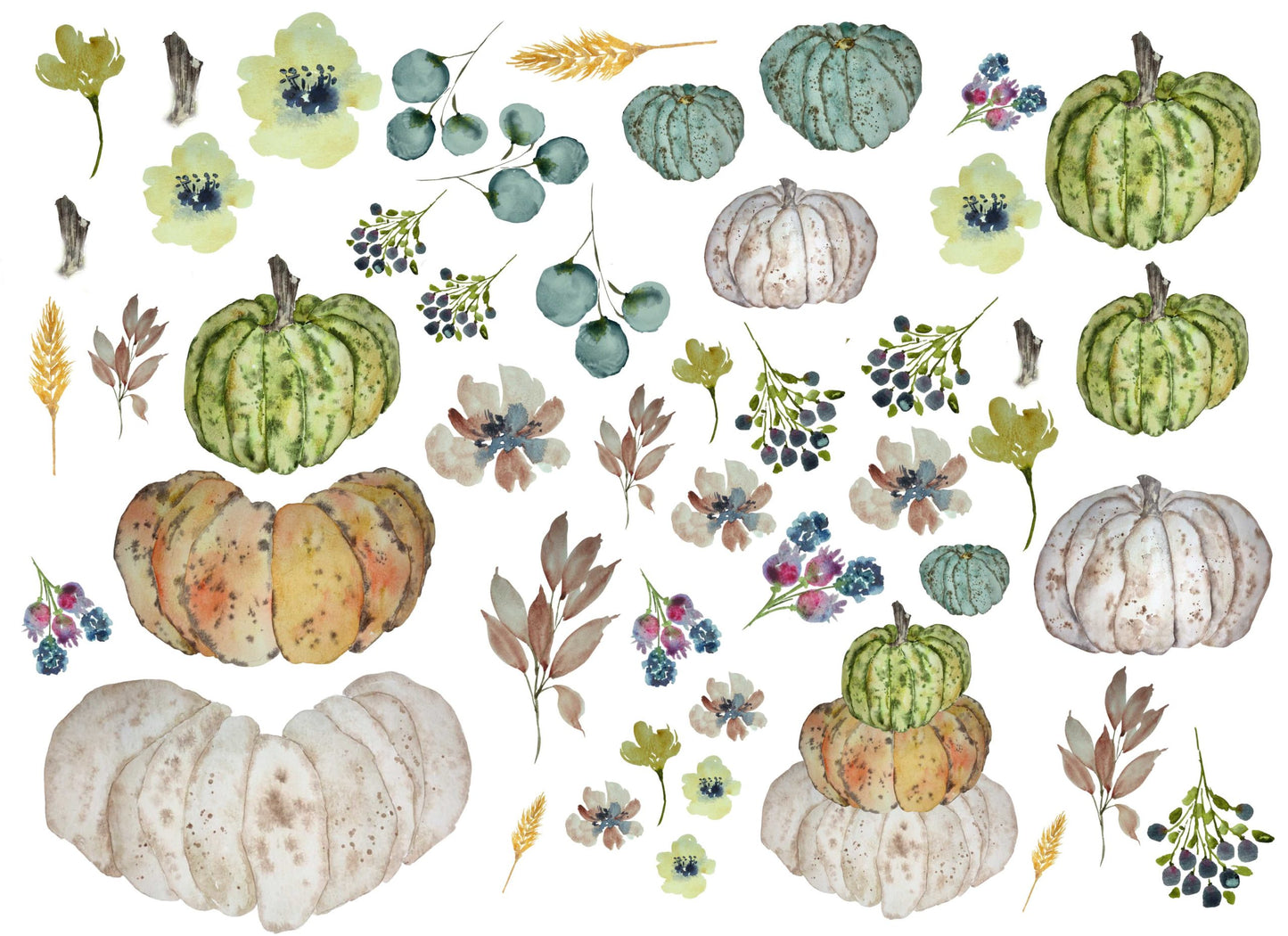 HEIRLOOM PUMPKINS # 164 RETIRED