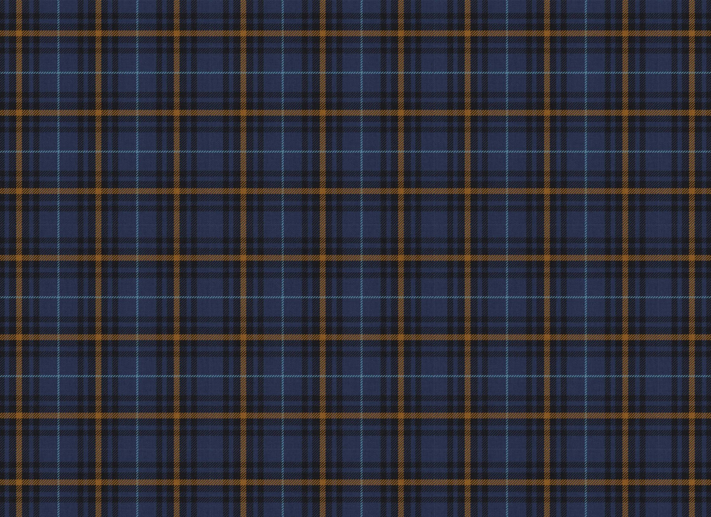 BLUE TARTAN #174