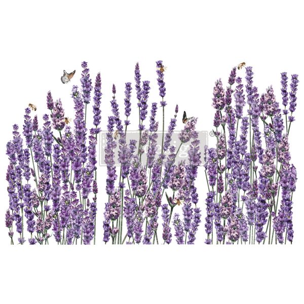 CHAMPS DE LAVENDE 663391