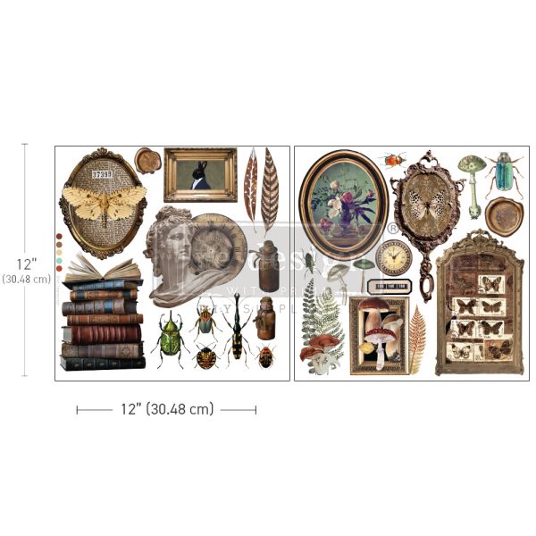 COLLECTORS CLOSET 665852