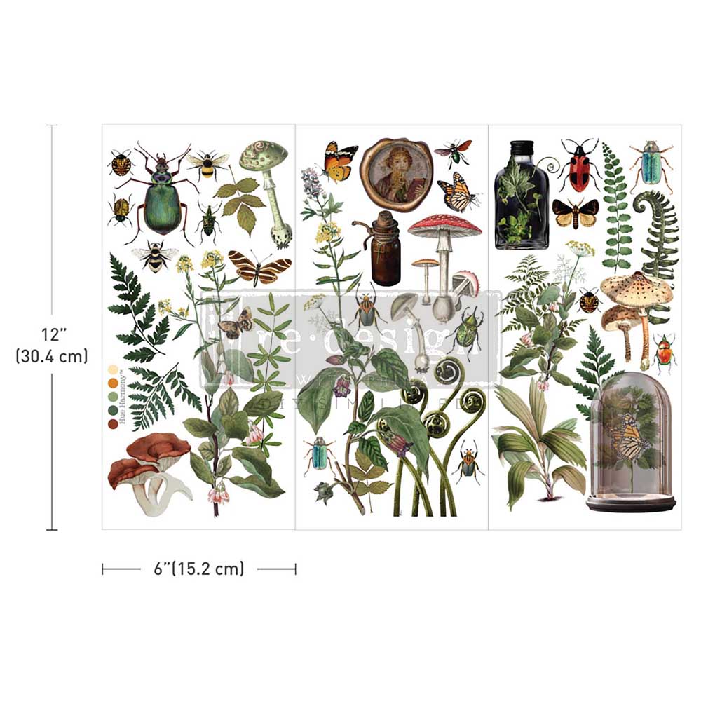 BOTANICAL ARCHIVES 675127