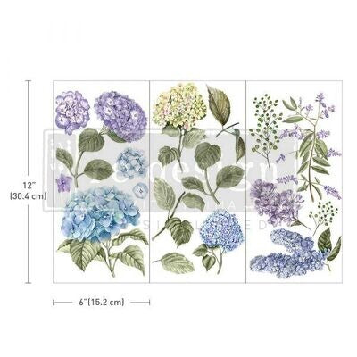 MYSTIC HYDRANGEA # 653408
