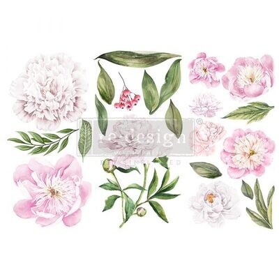 MORNING PEONIES # 653477