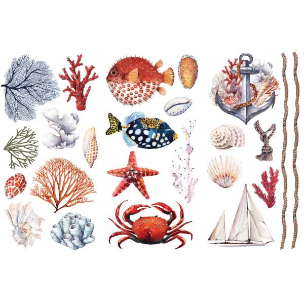 AMAZING SEA LIFE # 655945