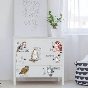 OWLS # 656010