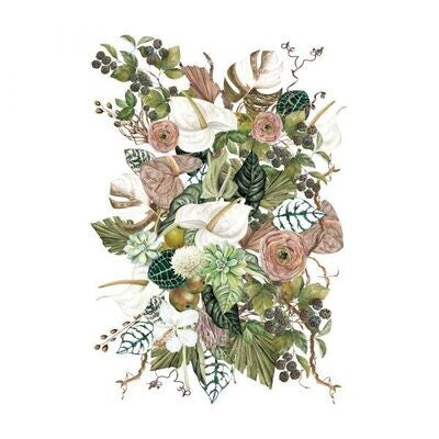 ANTHURIUM # 656393
