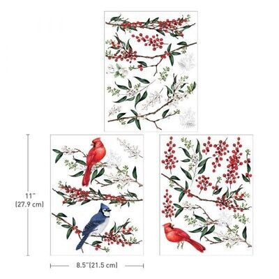WINTERBERRY # 659998