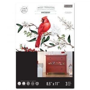 WINTERBERRY # 659998