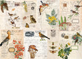 FALL BOTANICAL #161
