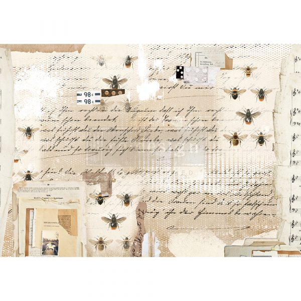 MYSTERIOUS NOTES  #651206