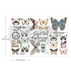 PAPILLON COLLECTION 653385