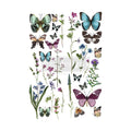 BUTTERFLY OASIS 656416