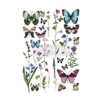 BUTTERFLY OASIS 656416