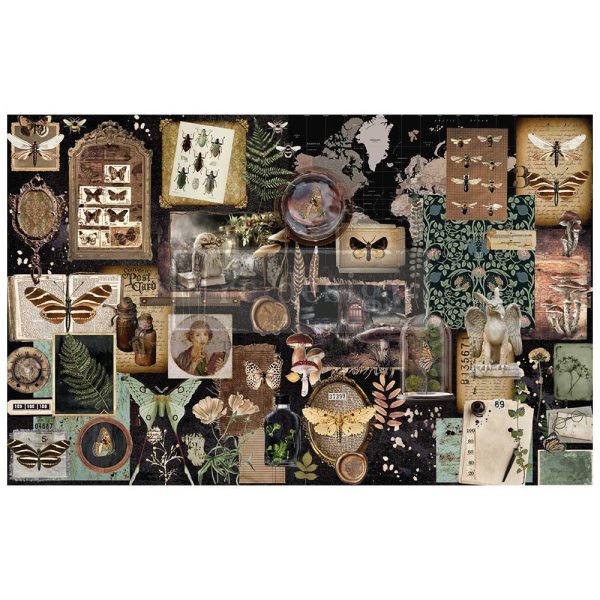 HERBARIUM NOTES  665371