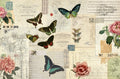 ROYCYCLED BUTTERFLY MASTERBOARD #103