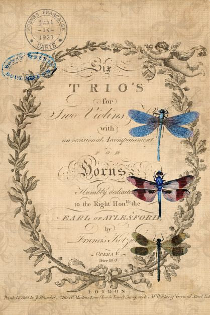 DRAGONFLIES #142