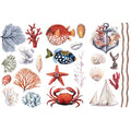 AMAZING SEA LIFE # 655945