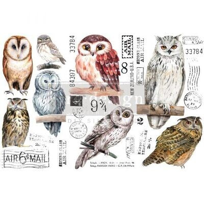 OWLS # 656010